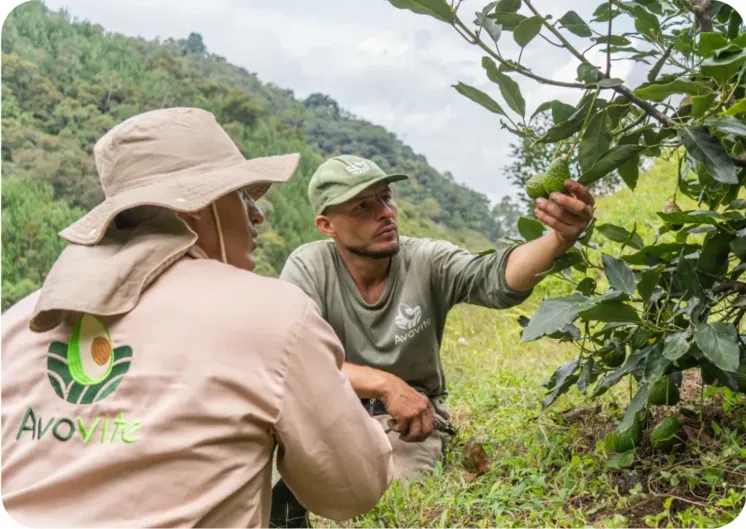 Agricultores trabajando